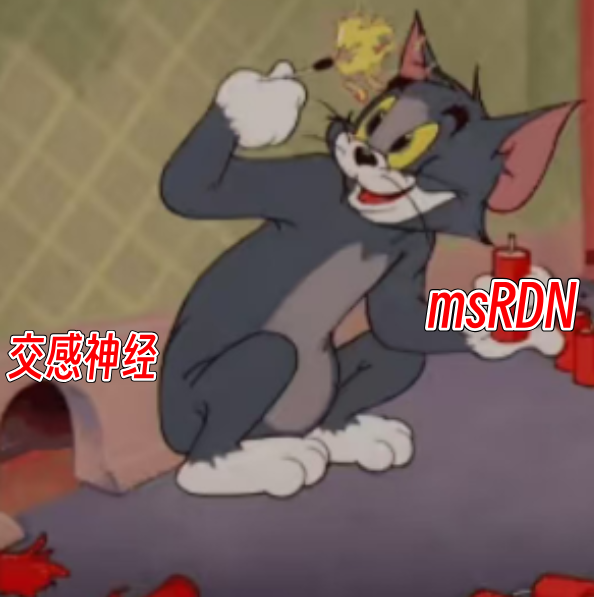 202503091525592745.Png